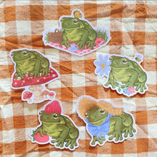 Load image into Gallery viewer, Frog Vinyl Stickers
